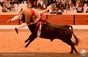 As imagens da corrida de Setúbal na Praça 