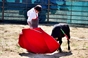 Imagens da aula prática de toureio em Vila Verde de Ficalho